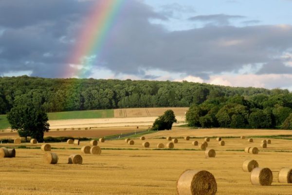カバレフスキー 組曲『道化師』