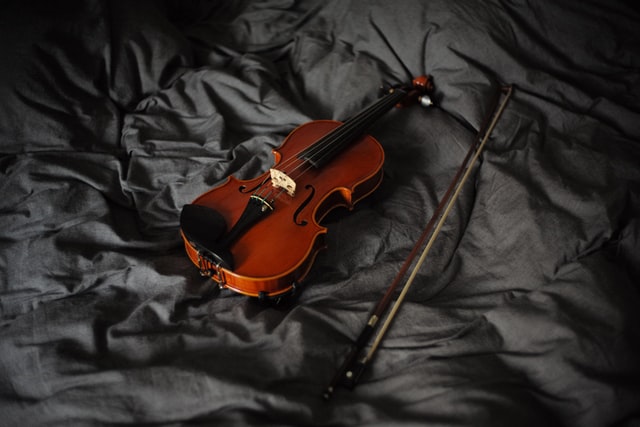 ヴァイオリン奏者のサイト